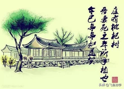 你还记得高中时最令人感动的三棵树吗：木棉树、*欢合**树、枇杷树