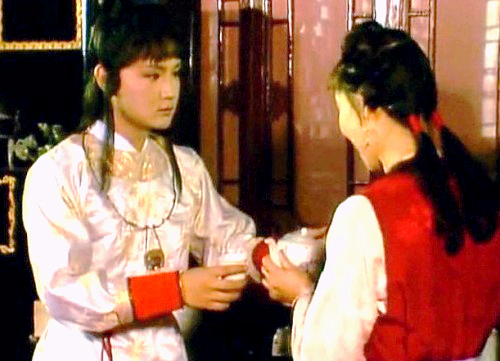 小小的*红院怡**，藏了一部甄嬛传，宝玉不认识林红玉就是明证