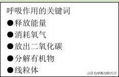 人教版七年级生物期末试卷及答案,2018年七年级生物上学期期末试题