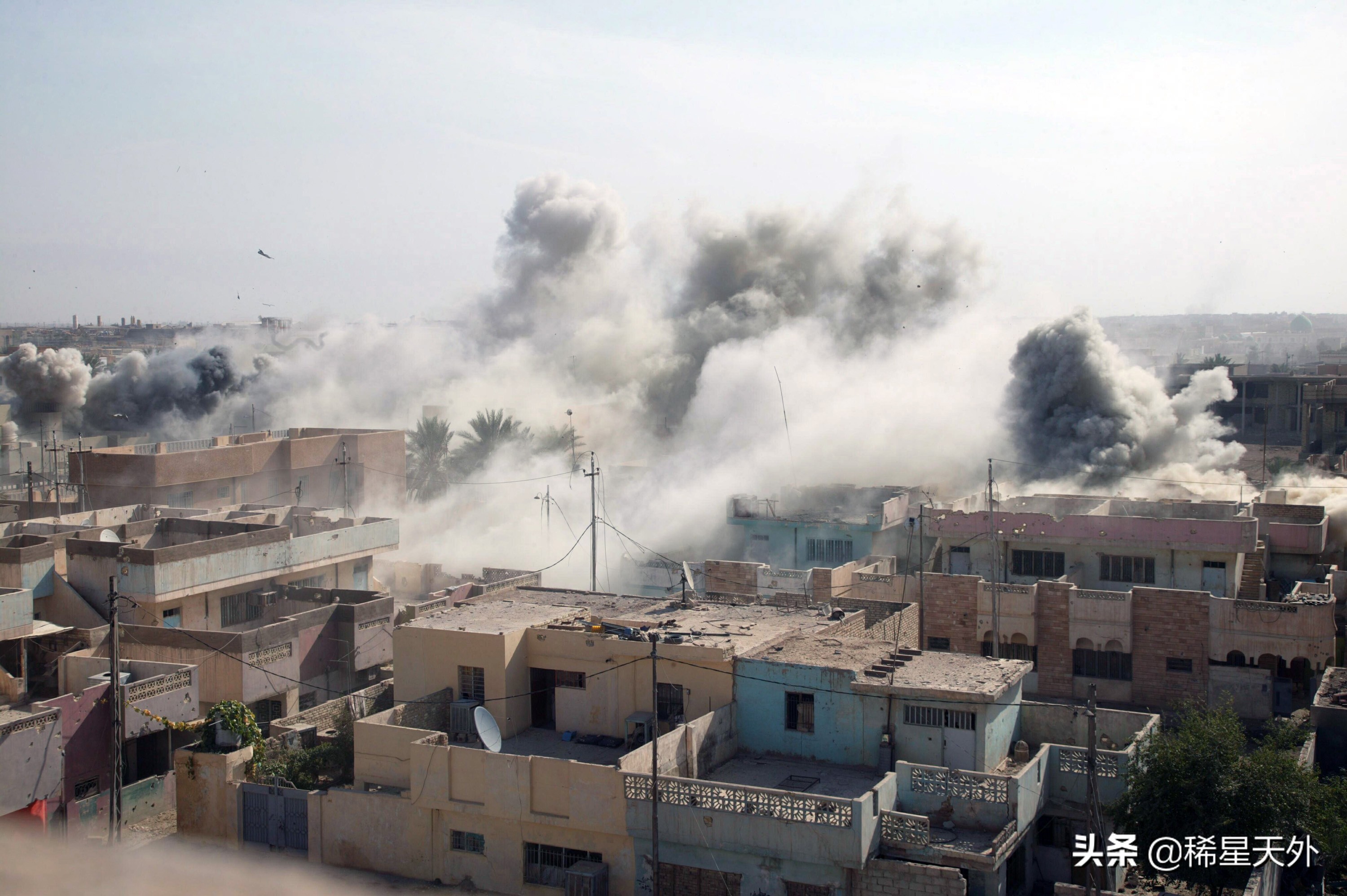 费卢杰之战全过程,费卢杰战役四连击