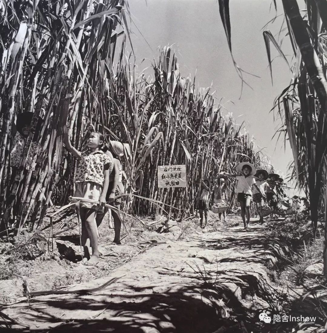 老海丰照片,七十年代的珍贵照片
