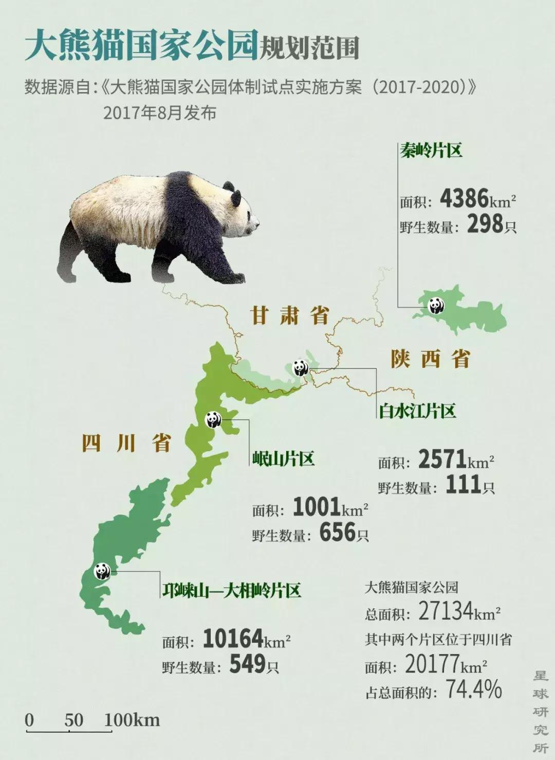 熊猫萌,熊猫萌啦