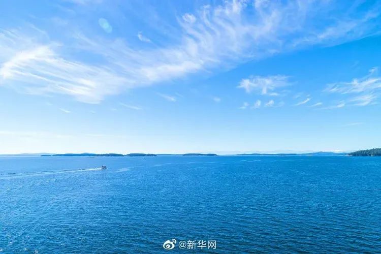 早安营口最新版,早安营口鲅鱼圈