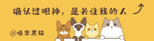 猫咪清洁耳螨如何不伤耳朵,猫耳朵清理需要关注什么
