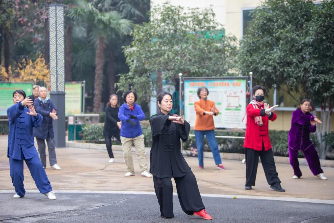 莲湖区晚上哪里可以漫步,莲湖晨练