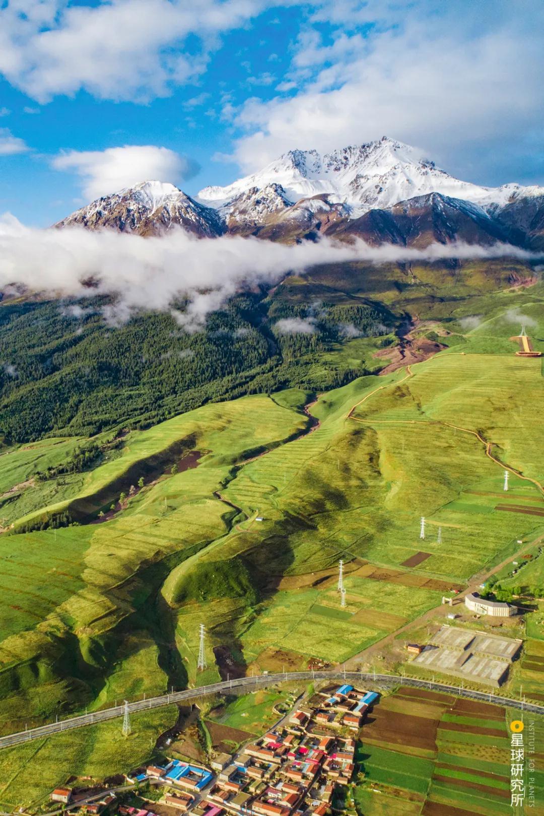 中国植树造林面积,中国植树造林成果国外有什么看法