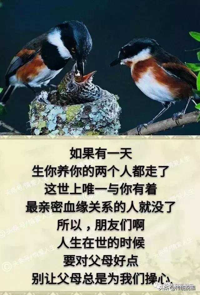 我的家庭相册怎么弄,我的家庭相册全集