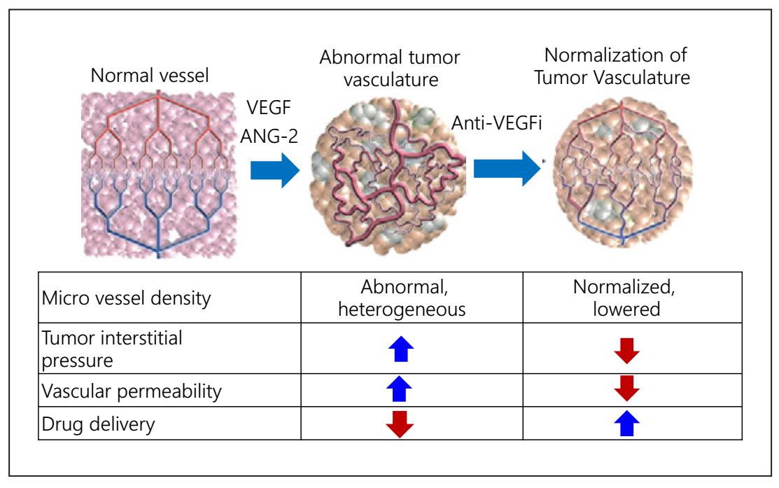 介入栓塞联合靶向药物治疗中晚期肝癌疗效更佳