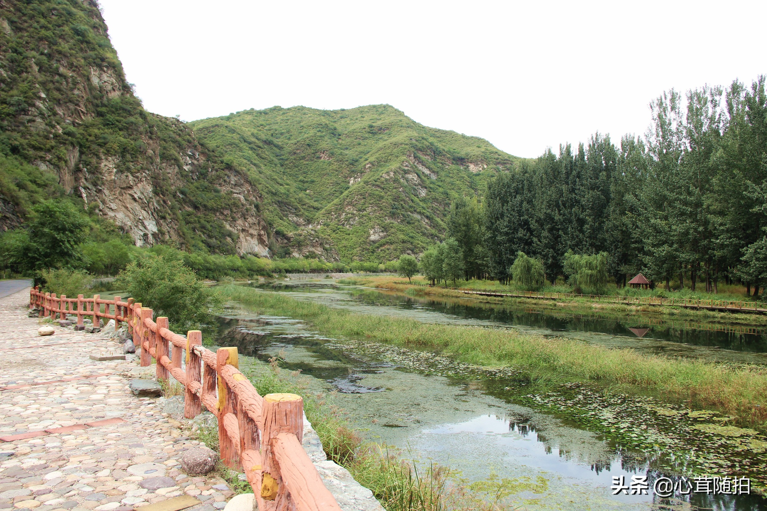 自驾白河湾,白河湾自然风景区自驾