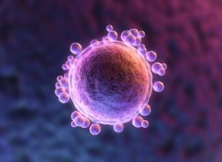 做试管婴儿哪些问题最需要关注,做试管婴儿的女性最容易得什么病