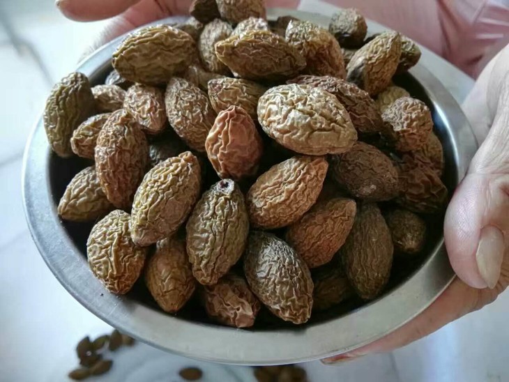 入暑后吃什么水果最好,处暑过后吃点什么