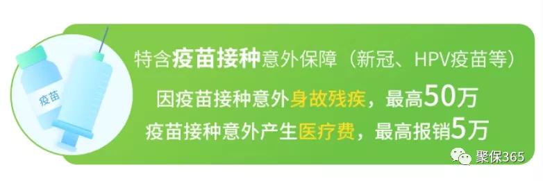 这个小蜜蜂又飞回来了