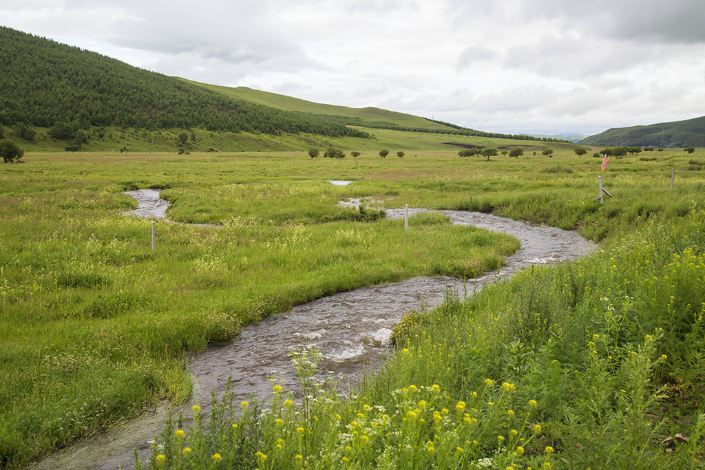 河北承德坝上草原京北第一草原,京北第一草原和坝上草原嘉年华