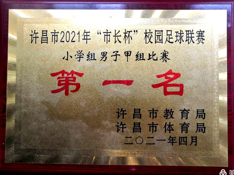 2017第三届市长杯校园足球联赛,2021年郑州市市长杯足球比赛小学