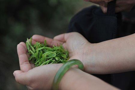 中国十大名茶是哪一些茶,我国各种名茶的代表地方