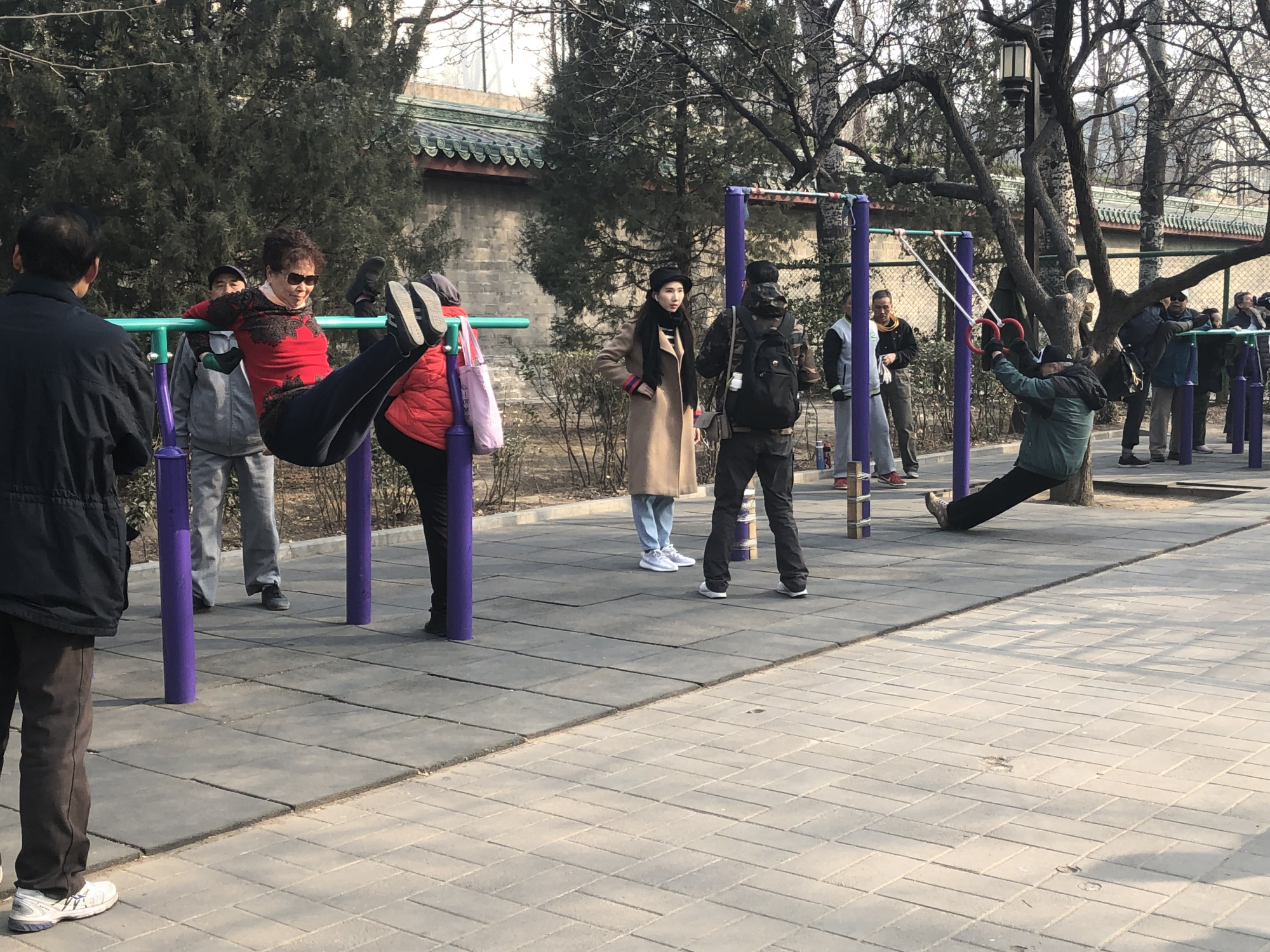 老年人养生知识普及大全,老年人健康科普知识讲座