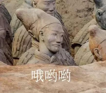 一面墙的手办值一套房,一整面墙的手办