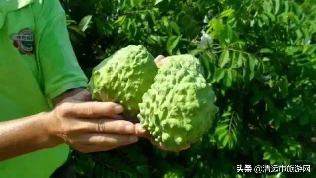 寒假亲子游推荐4-5天游,暑假亲子游玩地点推荐3天2夜