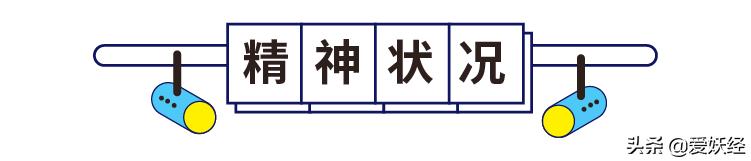 狗狗沉浸式吃冻干大餐和肉,狗狗吃冻干肉大餐