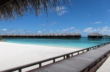 去马尔代夫满月岛旅游攻略视频,马尔代夫满月岛赶海攻略