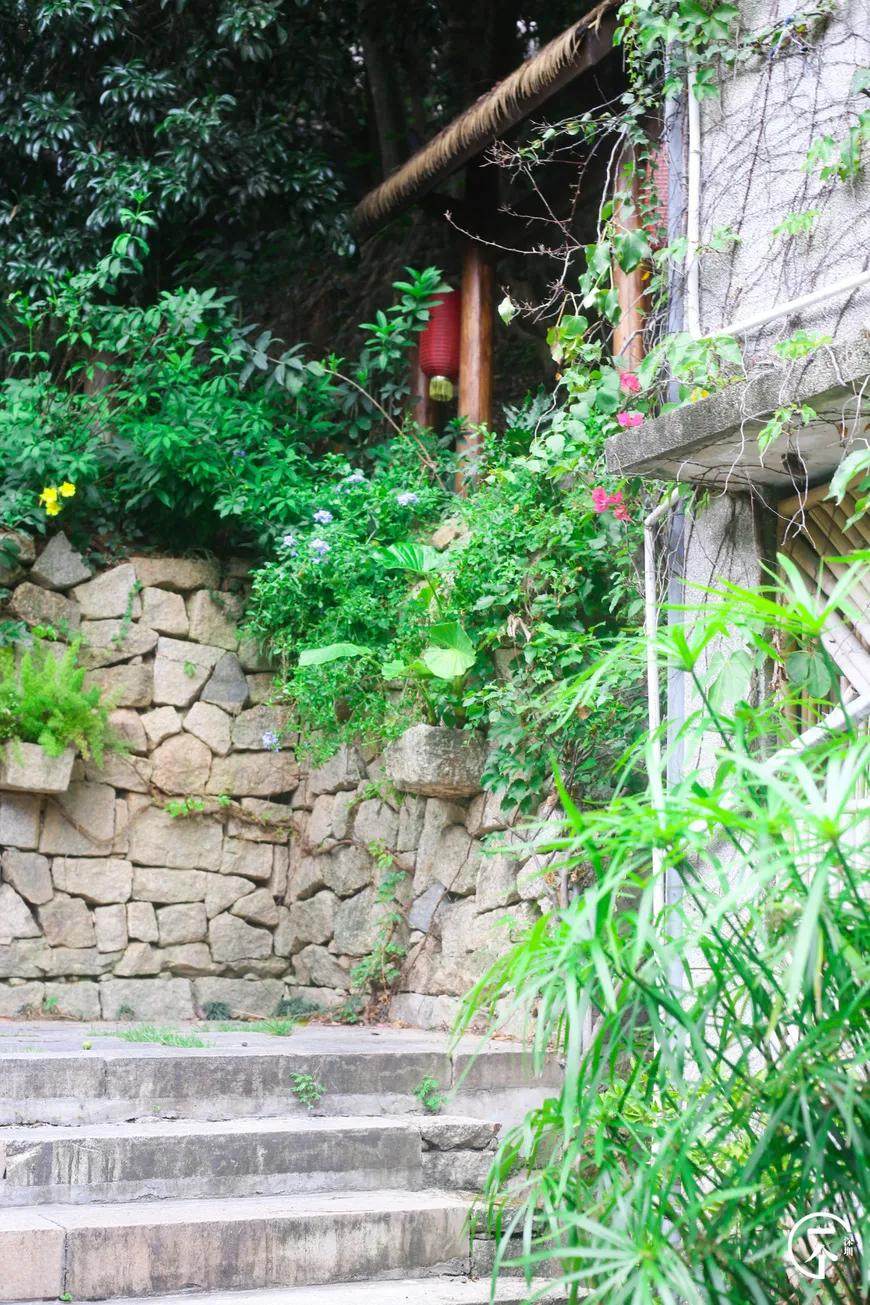 深圳甘坑客家小镇要门票吗,深圳客家小镇在什么位置