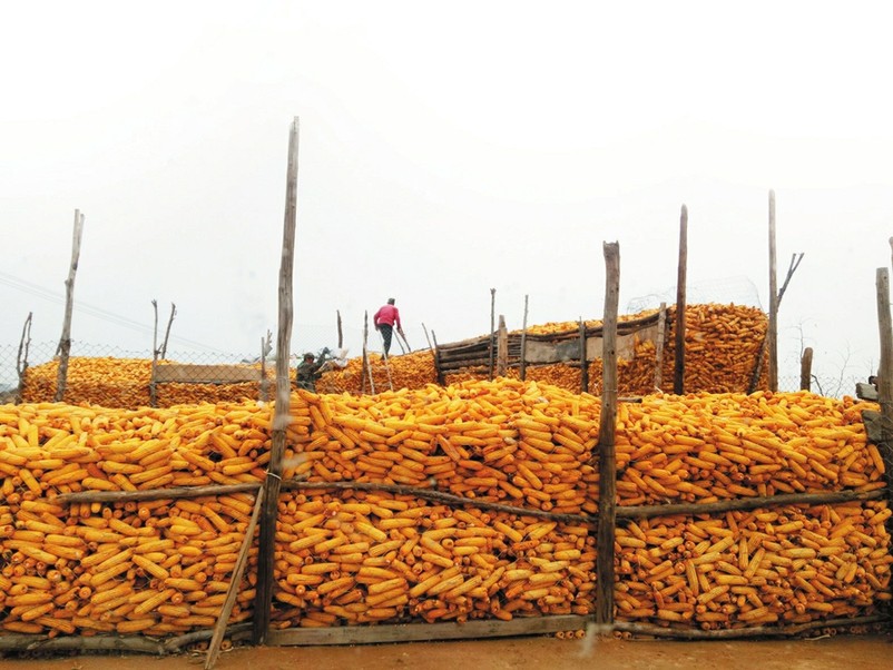 玉米脱粒工具老物件,给玉米脱粒后喘不过气怎么办