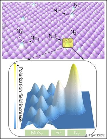 鍌寲蹇姤鏈熷垔,鍌寲鏉傚織灏侀潰