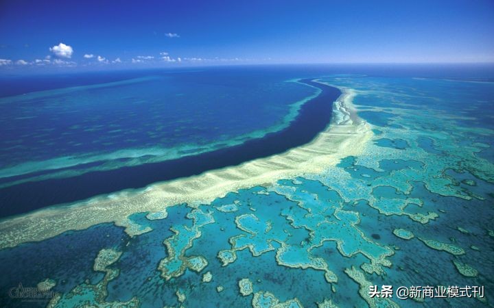 让人惊叹的经典营销案例分析,100个经典营销真实案例