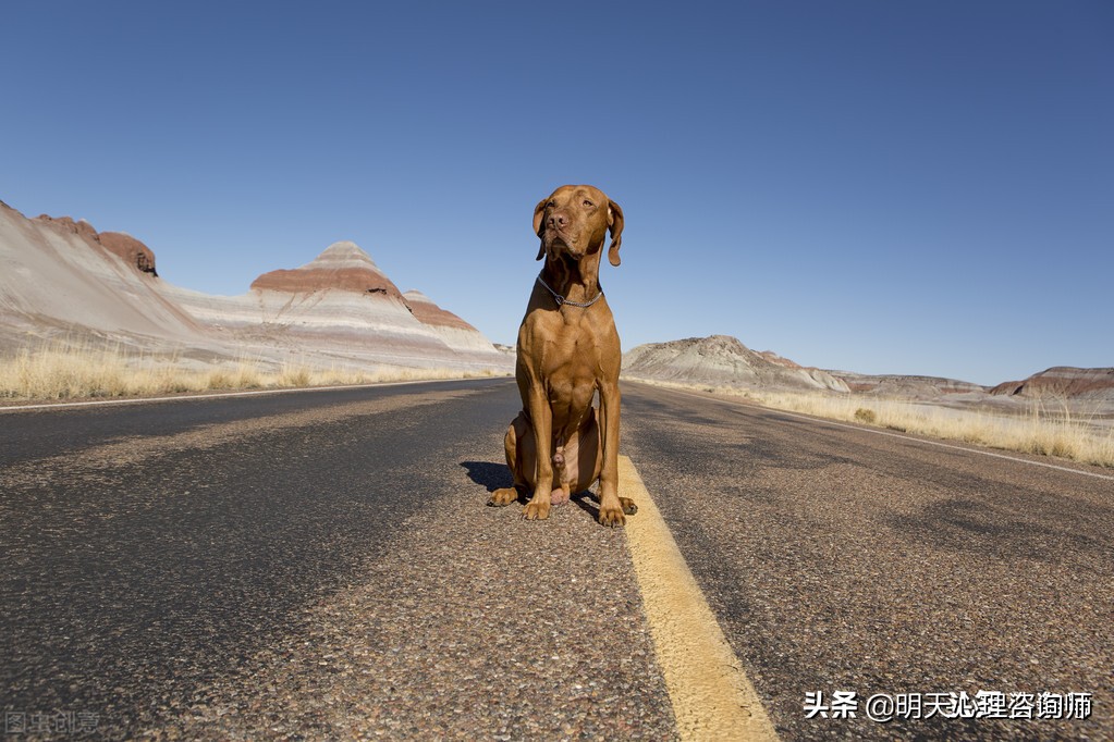 害怕自己会失控怎么应对,如何克服情绪失控心态
