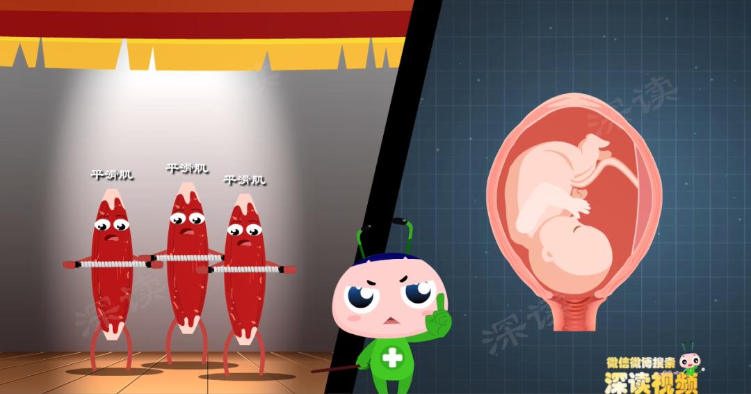 乖乖女竟得宫颈炎？宫颈炎就是淋病？动漫揭秘宫颈炎发病机制！燃