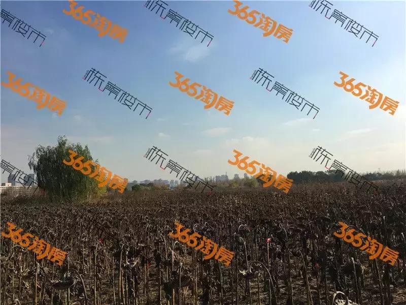 长白山开发区最新基准地价,长白领馆最新规划