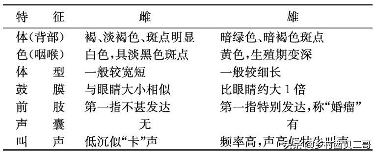 农业部对人工养殖牛蛙的最新规定,养殖牛蛙跟公司合作模式