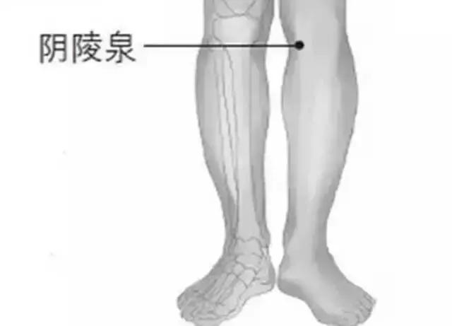 毒五月吃什么好,毒五月吃什么