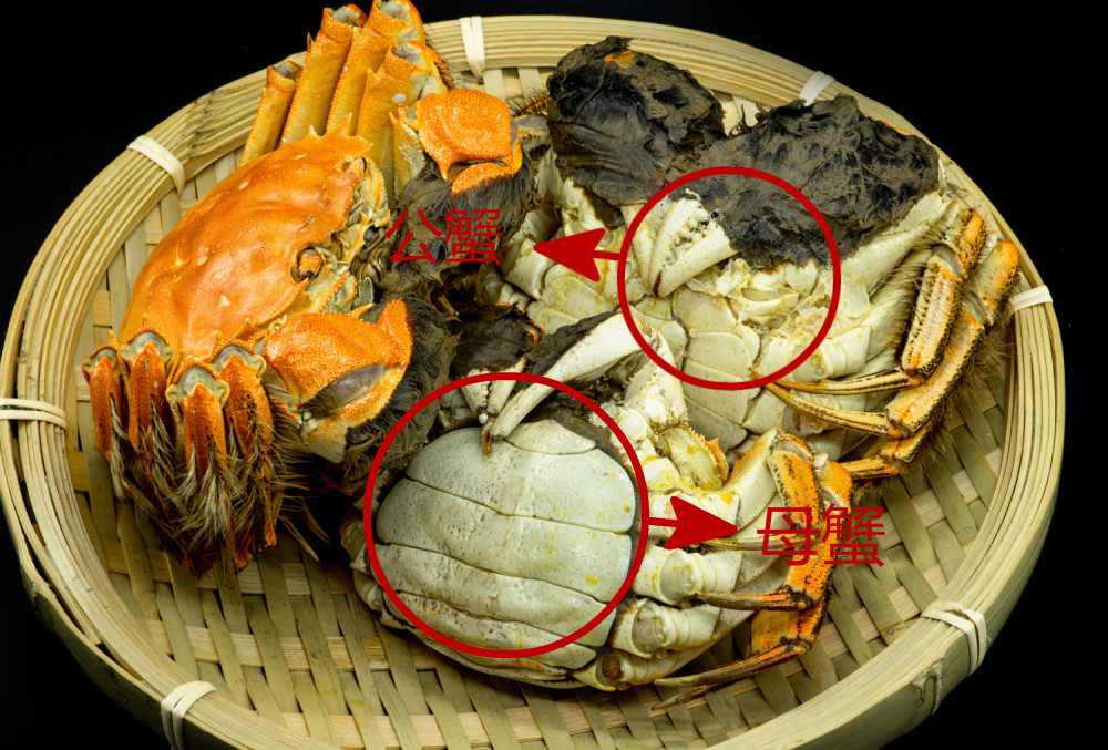 金秋蟹正确吃法,大闸蟹正确的吃蟹方法