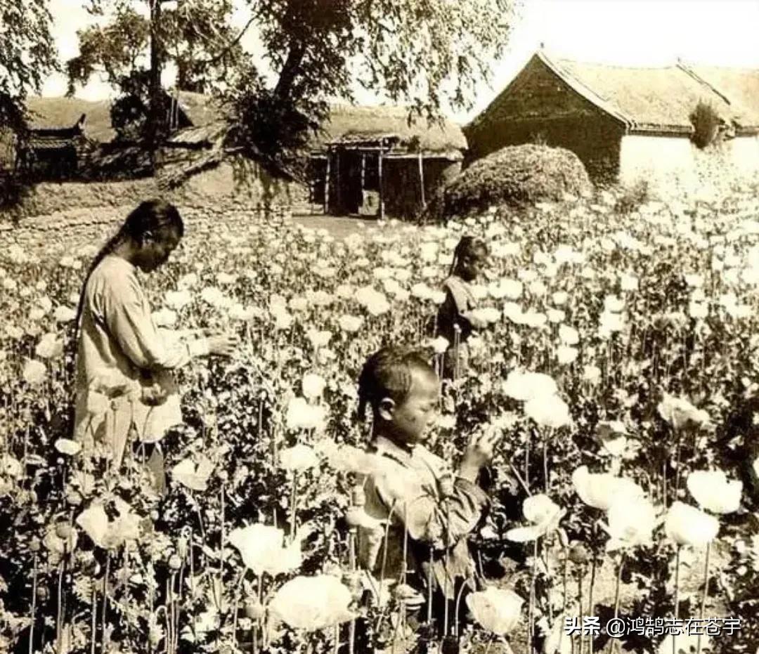 清末照片：抱娃的年轻女子，一身赘肉的八旗后裔，三代人的全家福