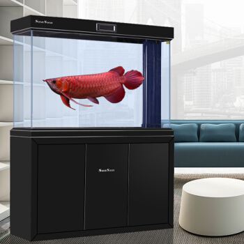 在家自己做鱼缸的材料,自己做鱼缸需要哪些设备