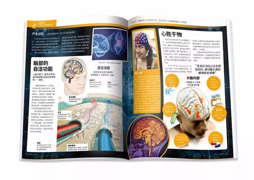 华罗庚和杨振宁谁比较厉害,杨振宁排名全球物理学家第几