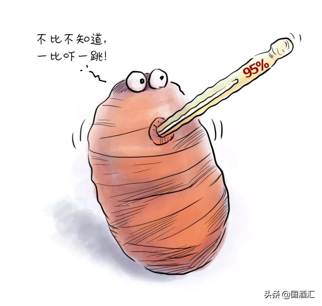 高粱和小麦酿酒口感好吗,高粱和小麦一起酿酒好喝吗