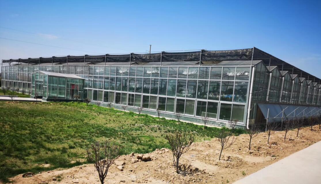 一亩温室大棚大概价格,塑料大棚日光温室连栋温室造价