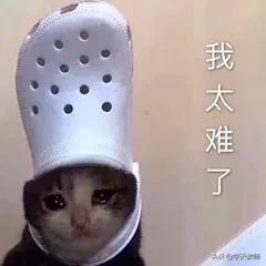 教师资格证领证需要体检吗,教师资格证认定体检需带什么