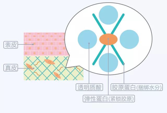 皱纹长斑≠变老，可能只是缺了它！学会1招轻松补回