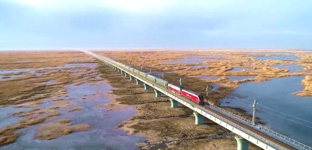 最孤独城市：孩子八九岁了没见过树