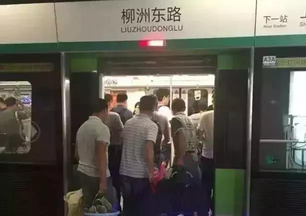 这才是董卿真实的样子,董卿跪地为什么获得网友的称赞