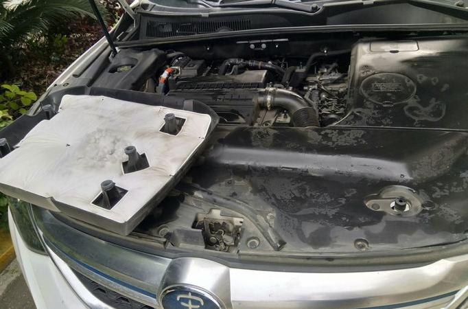 发动机舱进老鼠用什么去除比较好,发动机舱进老鼠怎么处理最好