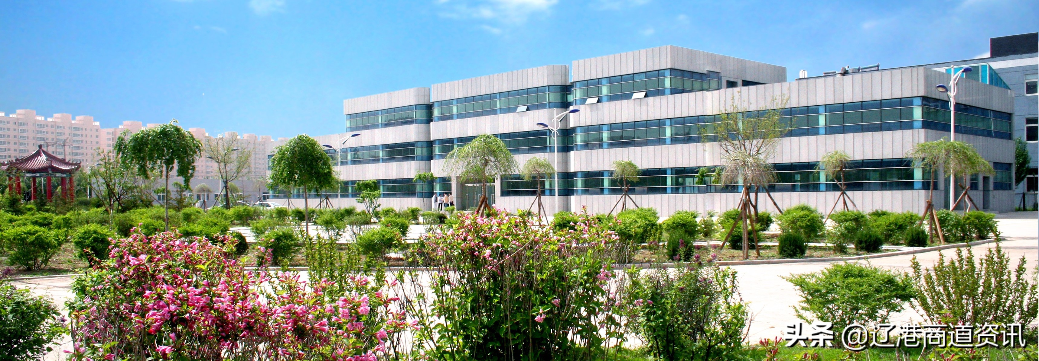 束波刀治乳腺癌多少钱,沈阳束波刀可以治疗肺癌么