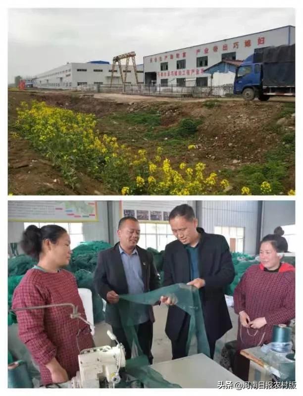 大沽河畔春意浓,清水河畔茉莉清香