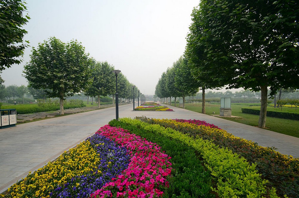 不出郑州旅游攻略,郑州五一游玩公园推荐