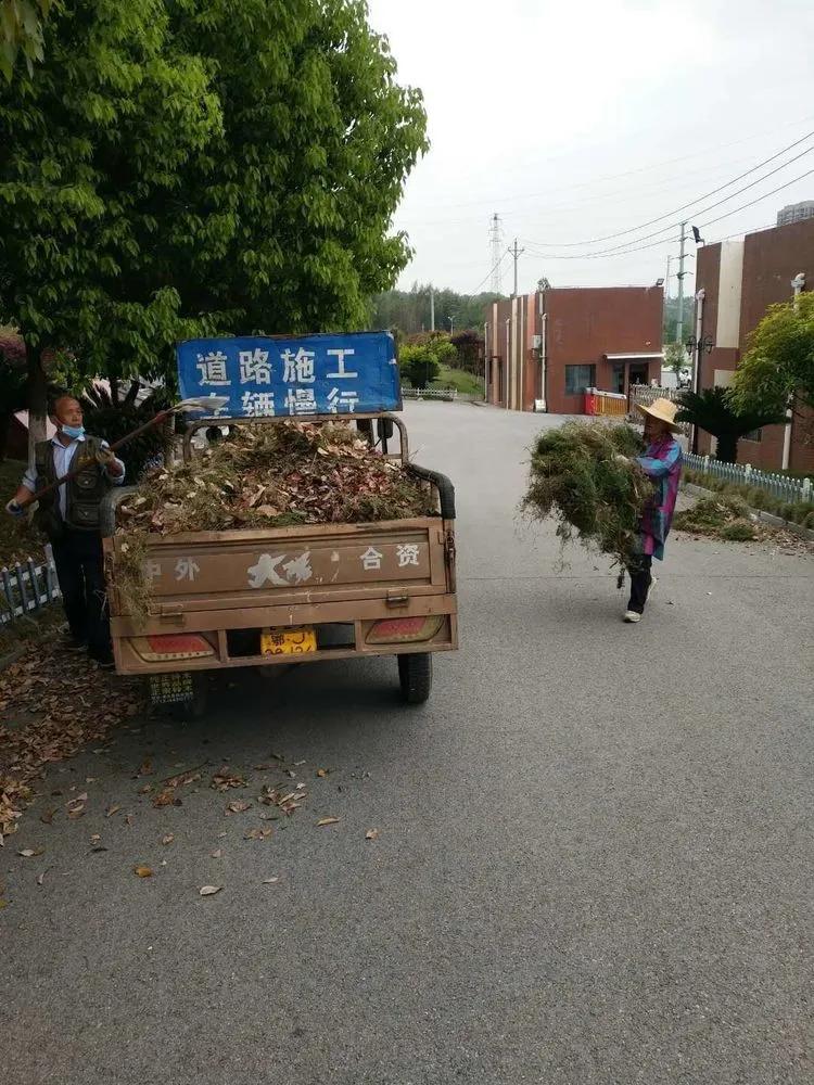 @亲爱的浠水思源学子：疫散花开，等你回来！