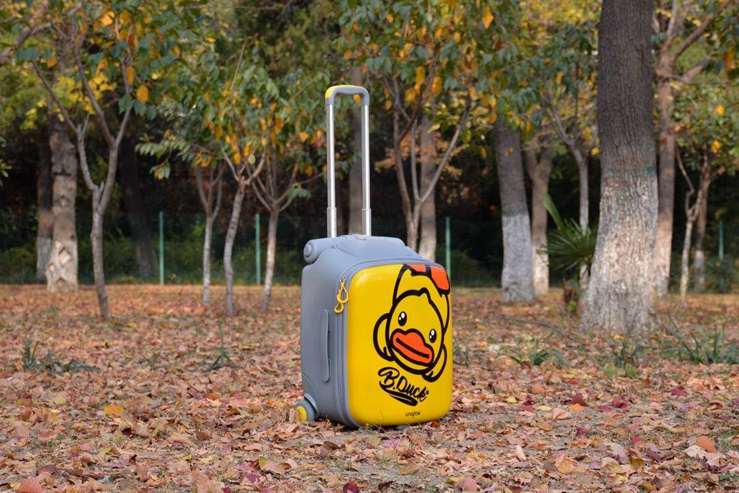 稚行遛娃箱B-Duck合作款评测：一箱两用能座还能装，券后589元