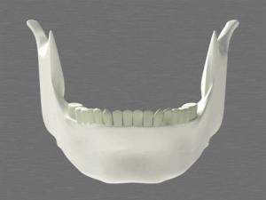 方脸怎么变成鹅蛋脸三种方法,如何判断自己是鹅蛋脸还是方脸